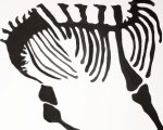 #14 Fossil- horse