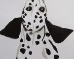 Dalmatian with Red Ball